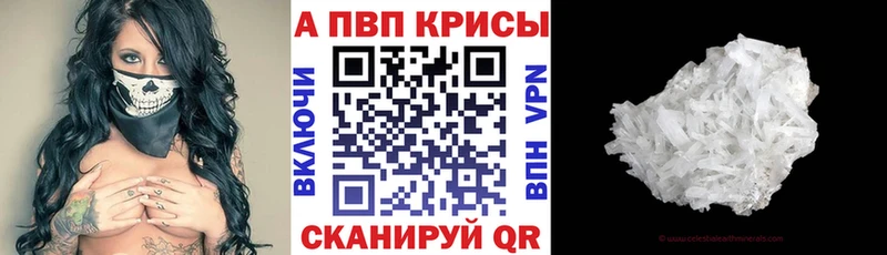 A PVP СК  закладка  Сосновый Бор 